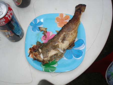 Ciekawostki 2015r. 052.jpg