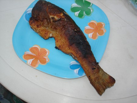 Ciekawostki 2015r. 051.jpg