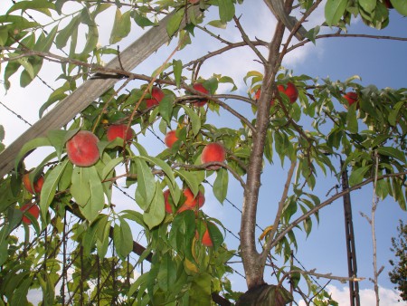 Ciekawostki 2015r. 011.jpg