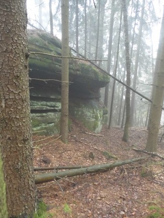 Majowka Kotlina Klodzka (339).JPG