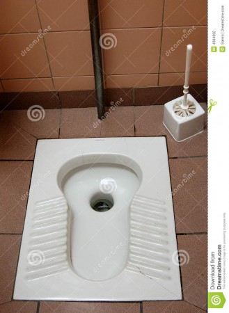 turkish-toilet-4984892.jpg