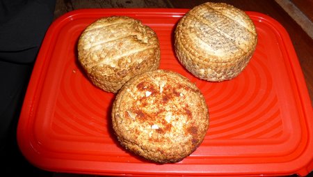 P1310855.JPG (281.85 KiB) Przejrzano 13789 razy P1310855.JPG