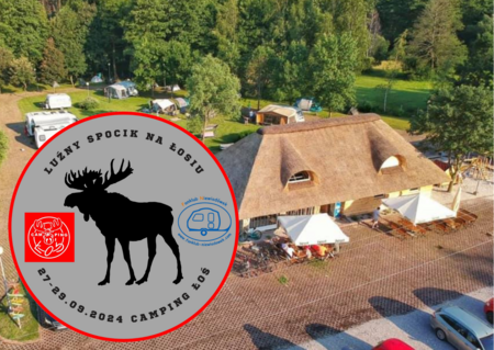 Projekt bez nazwy (11).png