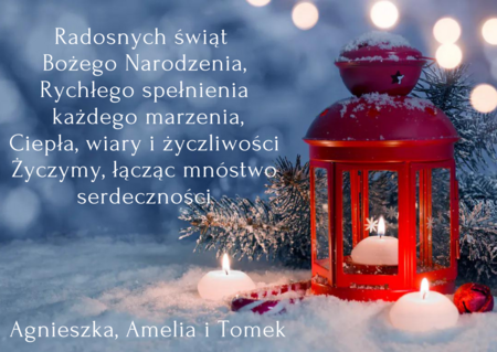 Radosnych świąt Bożego Narodzenia, Rychłego spełnienia każdego marzenia, Ci_20241224_105439_0000.png