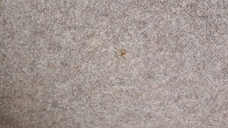 Zmiana panela i regulatora (23).jpg