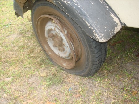 Majówka w Gołuchowie 2015. 008.jpg