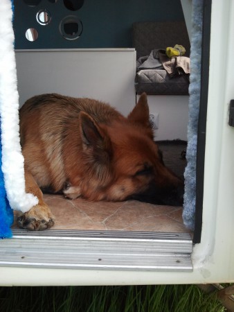 2015-06-07 13.51.44.jpg