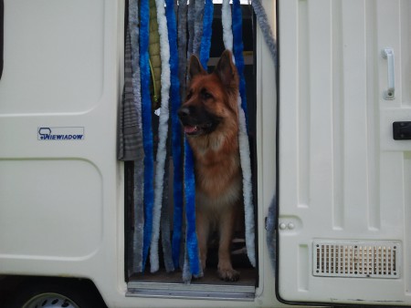 2015-06-07 12.55.51.jpg