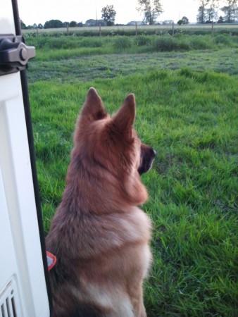 2015-06-05 21.45.09.jpg