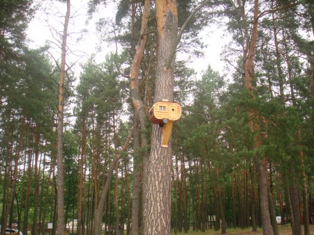 Sielpia 2015 012.jpg